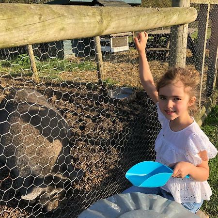 Willow Court Farm Studio South & Petting Farm, 8 Mins From Legoland & Windsor, 15 Mins From Lapland Uk Exteriér fotografie