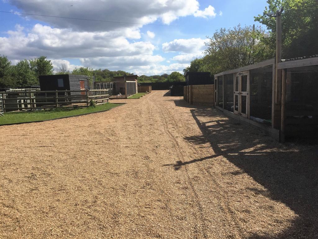 Willow Court Farm Studio South & Petting Farm, 8 Mins From Legoland & Windsor, 15 Mins From Lapland Uk Exteriér fotografie