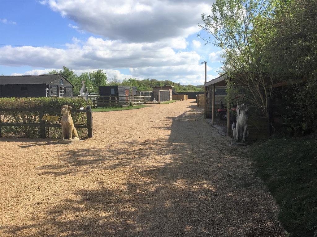 Willow Court Farm Studio South & Petting Farm, 8 Mins From Legoland & Windsor, 15 Mins From Lapland Uk Exteriér fotografie