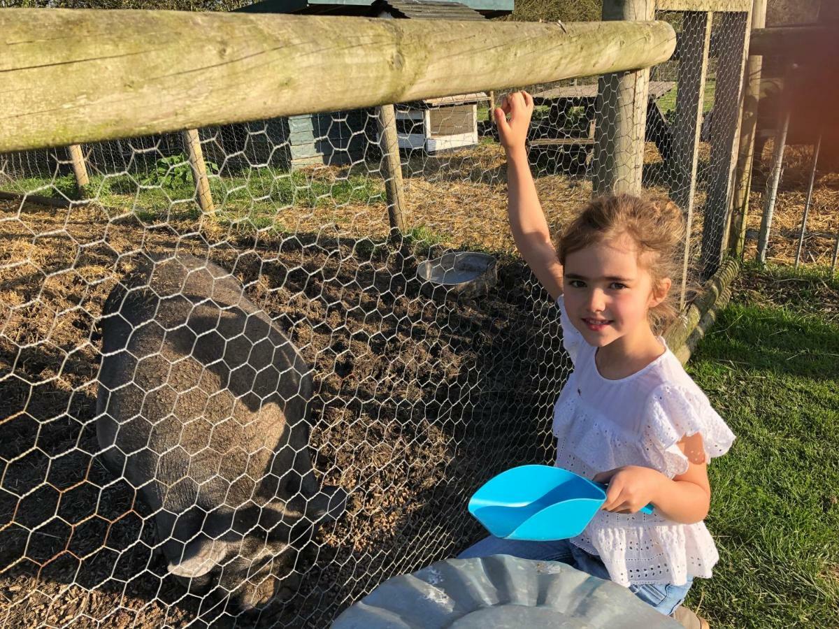 Willow Court Farm Studio South & Petting Farm, 8 Mins From Legoland & Windsor, 15 Mins From Lapland Uk Exteriér fotografie
